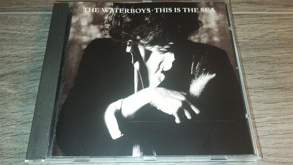 The Waterboys - This Is The Sea, Ophalen of Verzenden, Zo goed als nieuw, Poprock