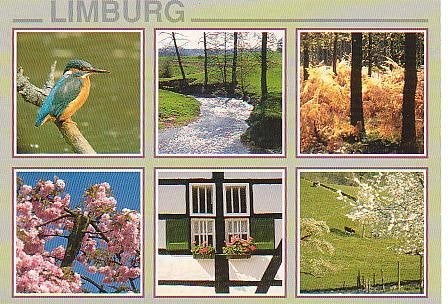 Ansichtkaart 	Limburg	6-luik	IJsvogel, Verzamelen, Verzenden, 1980 tot heden, Gelopen, Limburg