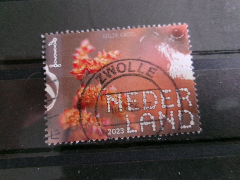 2023 - beleef de natuur wilde gagel (148g), Verzenden, Gestempeld
