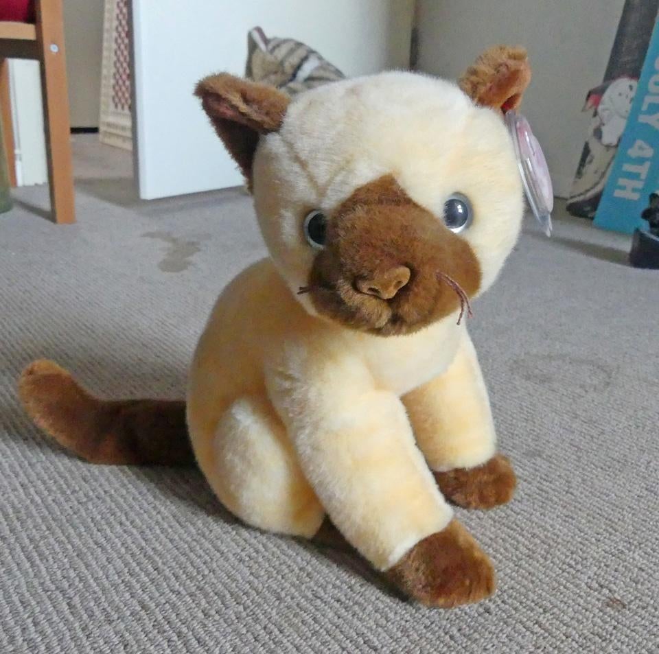 Ty Beanie Buddy Siam poes Siamees Siamese kat pluche knuffel, Ophalen of Verzenden, Ty, Met label, Zo goed als nieuw