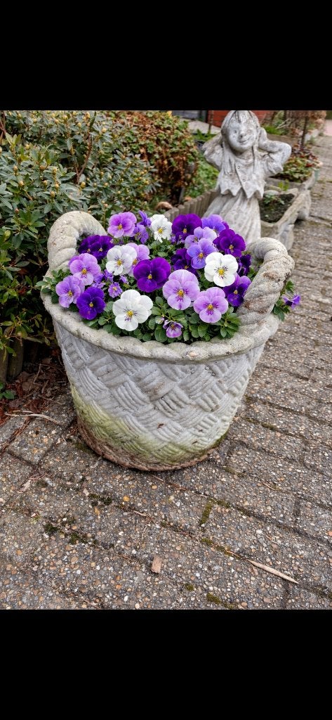 Betonnen bloemenbak in de vorm van een mand., Ophalen, Gebruikt, Minder dan 30 cm, Rond