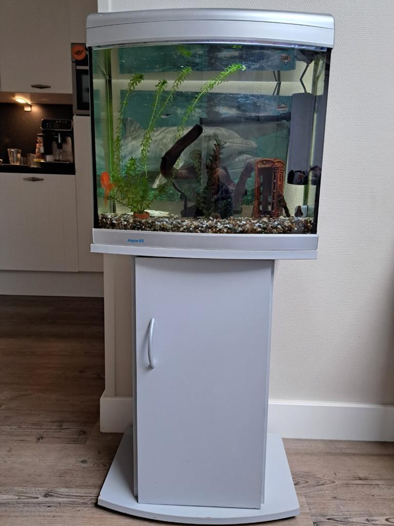 Mooi aquarium inclusief alle toebehoren!, Ophalen of Verzenden, Gebruikt, Gevuld zoetwateraquarium