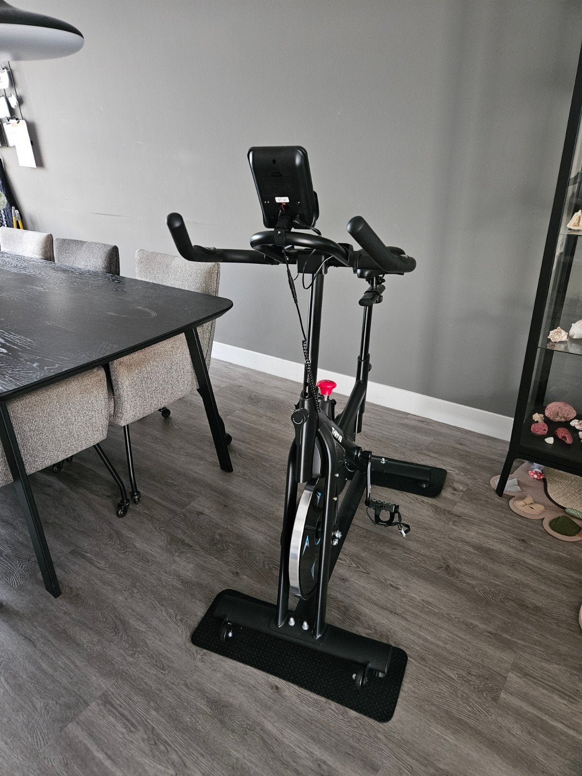 Thryve hometrainer pro.