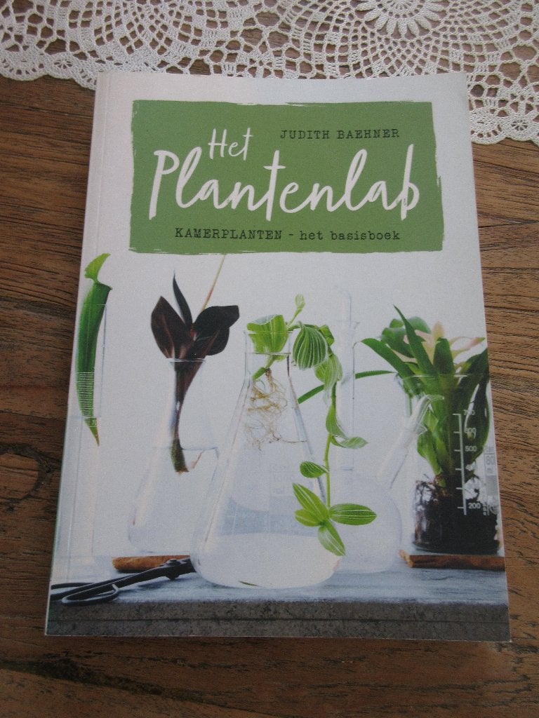 Het plantenlab, Judith Bachner. Kamerplanten, Boeken, Ophalen of Verzenden, Zo goed als nieuw, Tuinieren en Tuinplanten