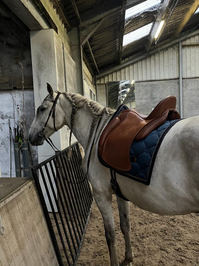 Iberosattel Amazona Dressage Comfort 3000 - Premium Line, Dieren en Toebehoren, Ophalen of Verzenden, Zo goed als nieuw