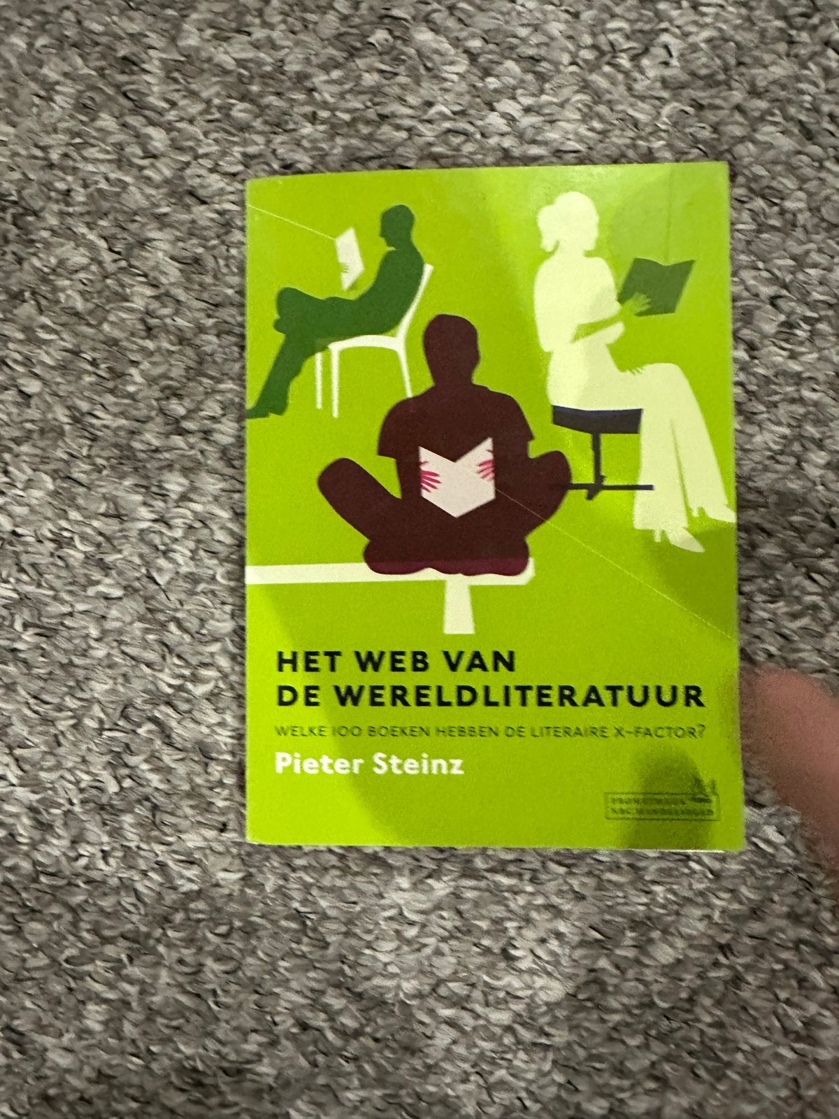 Het Web van de Wereldliteratuur - Pieter Steinz, Ophalen of Verzenden, Zo goed als nieuw, Nederland