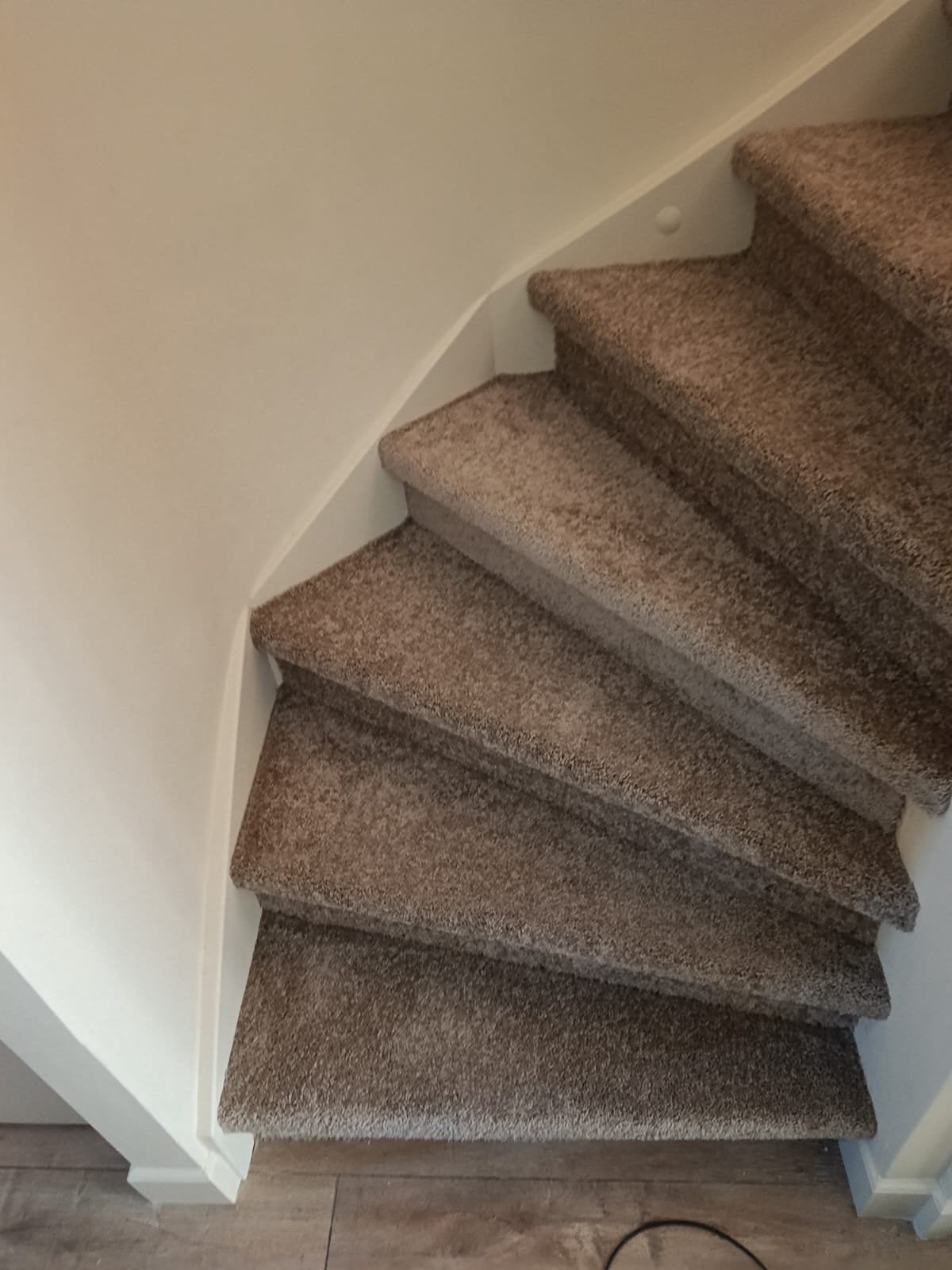 Trap inclusief tapijt, Ophalen of Verzenden, Gebruikt, Trap, 2 tot 4 meter