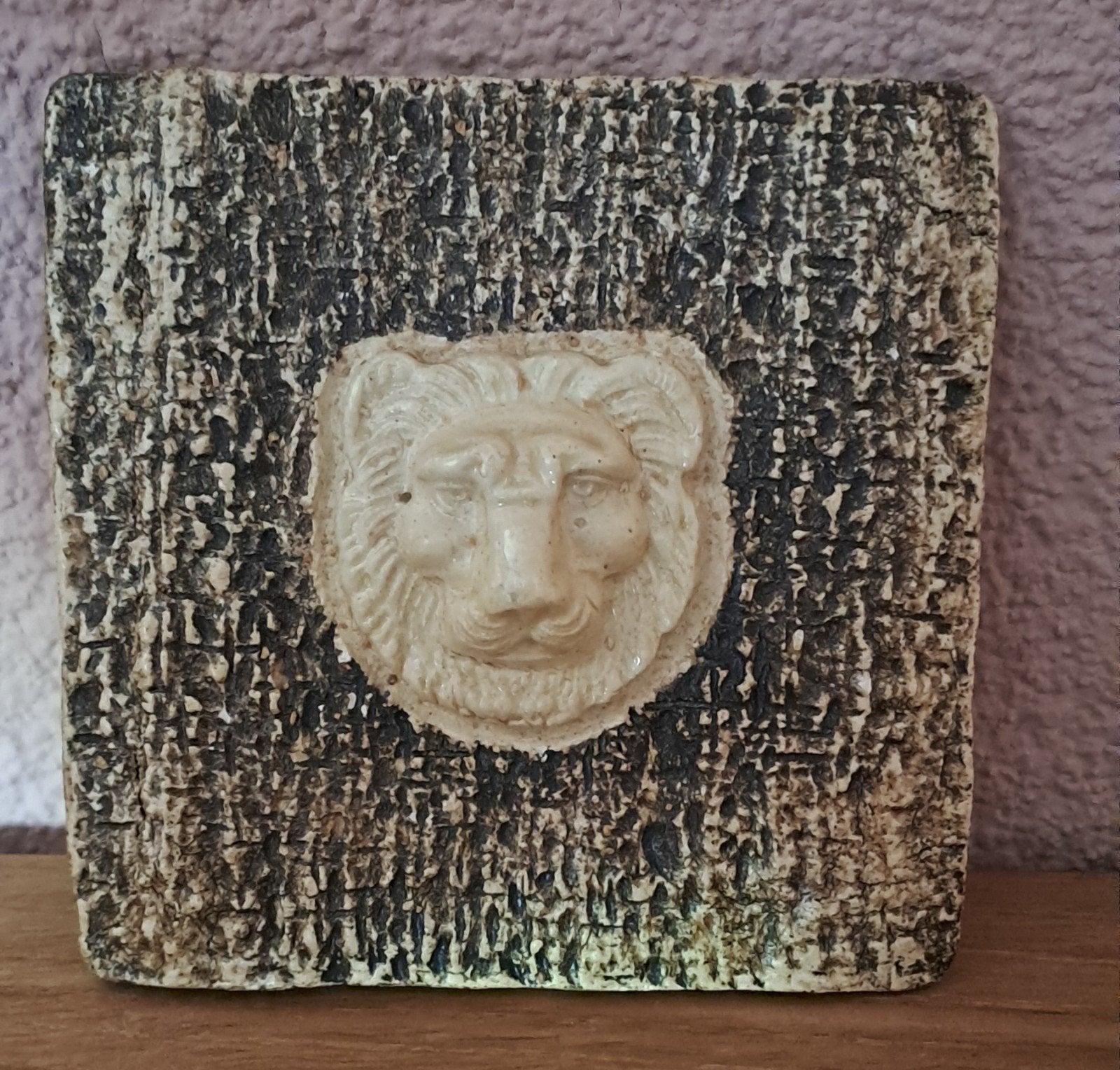 Vintage wanddecoratie met leeuwenkop reliëf, Ophalen of Verzenden