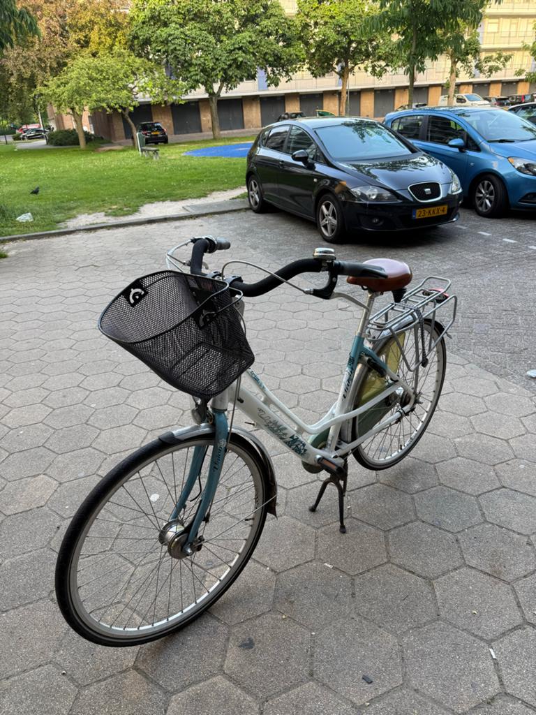 Damesfiets met mandje en bagagedrager, Velgrem, 50 tot 53 cm, Ophalen, Overige merken