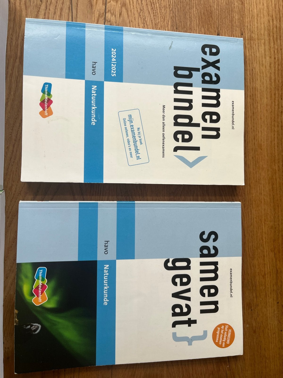 Examenbundel en Samengevat Natuurkunde HAVO, Boeken, Ophalen of Verzenden, Zo goed als nieuw, HAVO, Natuurkunde