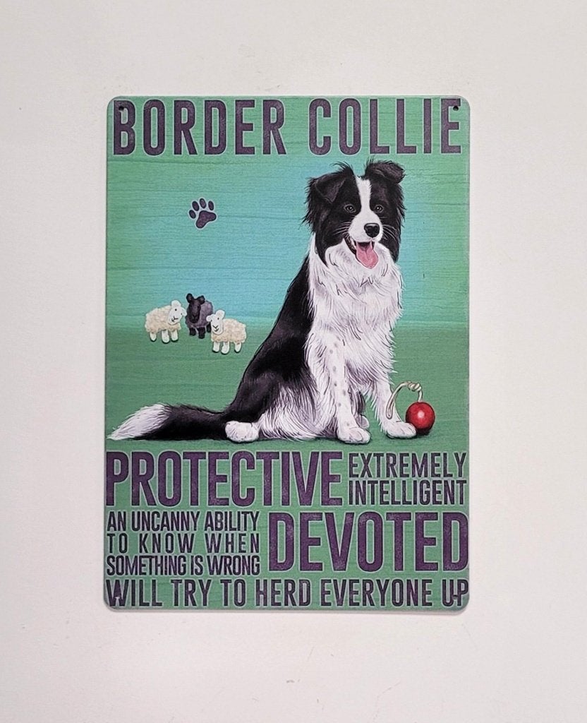 Border Collie hond eigenschappen reclamebord van metaal deco, Info@deconoord.nl, Nieuw, Ophalen of Verzenden, Dedco noord