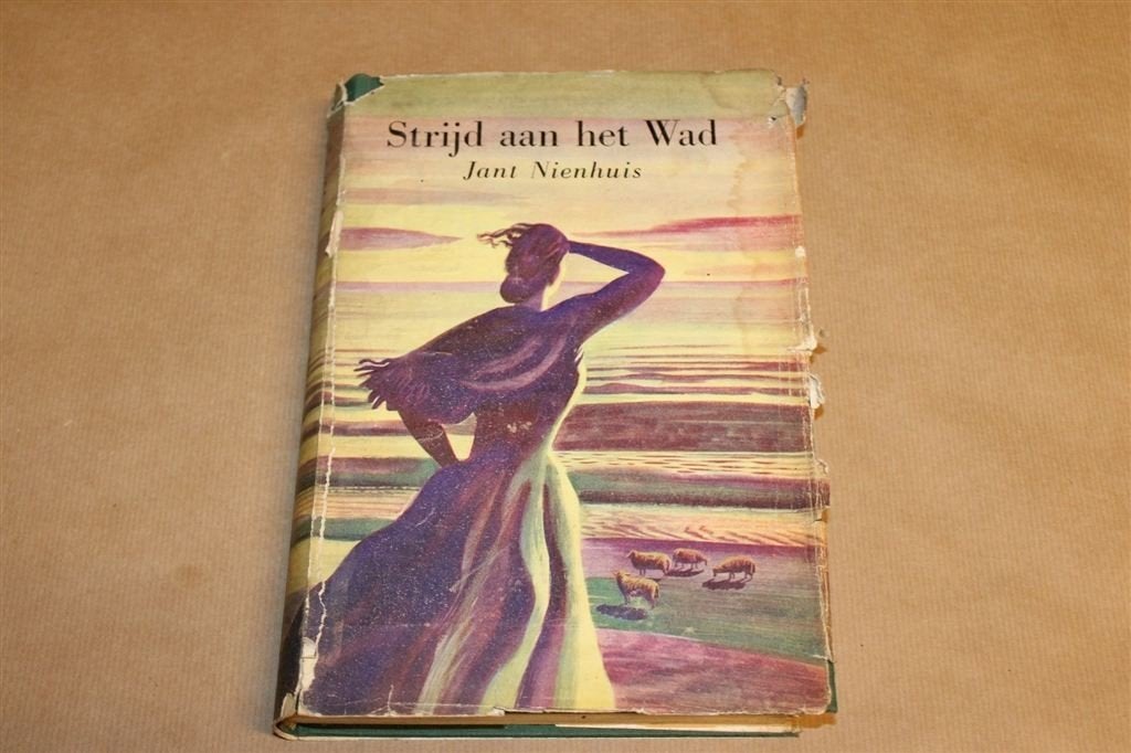 Strijd aan het Wad — Nienhuis, Groninger Streekroman 1949, Ophalen of Verzenden, Gelezen