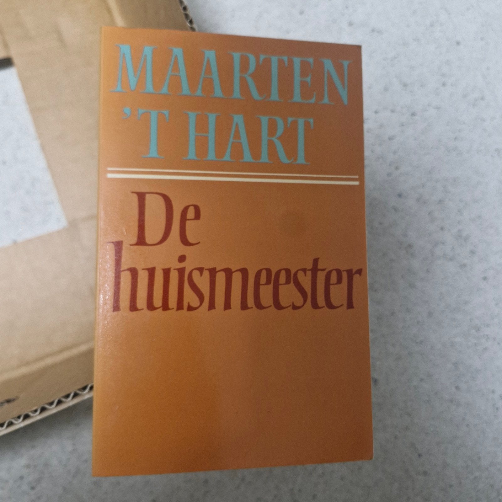 Maarten 't Hart - De huismeester