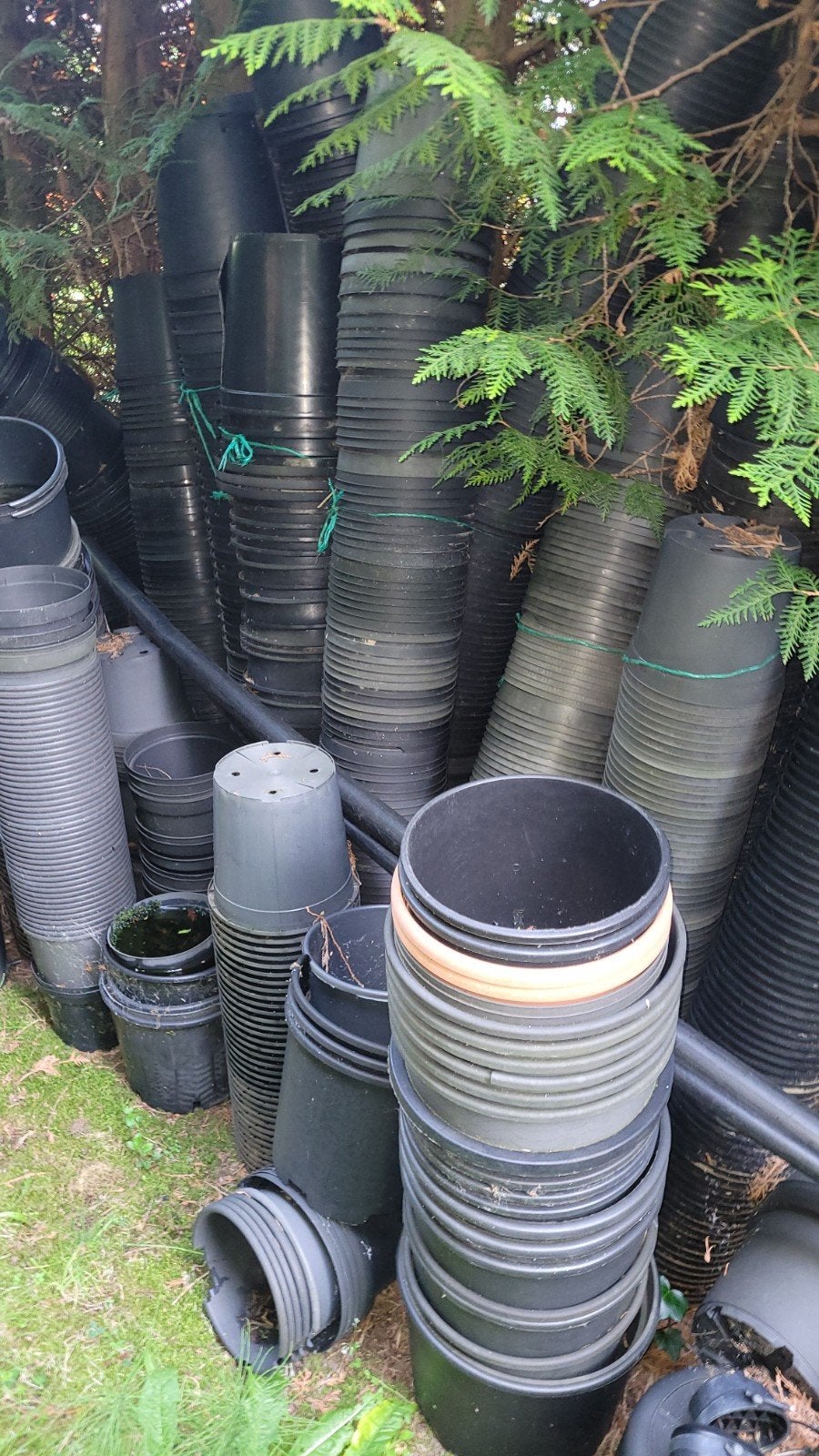 Kweekpotten spotprijs moet weg! Meerdere maten., Tuin en Terras, Kweekspullen, Ophalen, Kweekbak