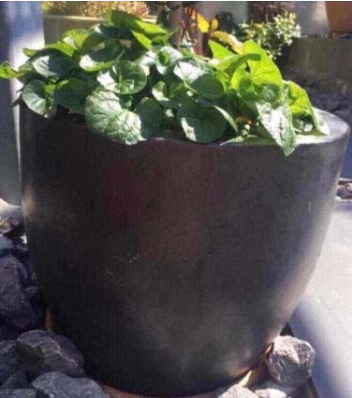 Stijlvolle donkergrijze terracotta bloempot HxD 32x35cm, Gebruikt, Rond, Minder dan 40 cm, Binnen