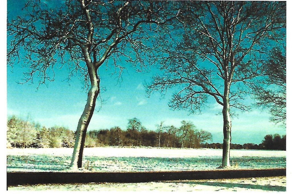 Prov. Groningen- -Gronings Landschap., Verzenden, 1980 tot heden, Ongelopen, Groningen