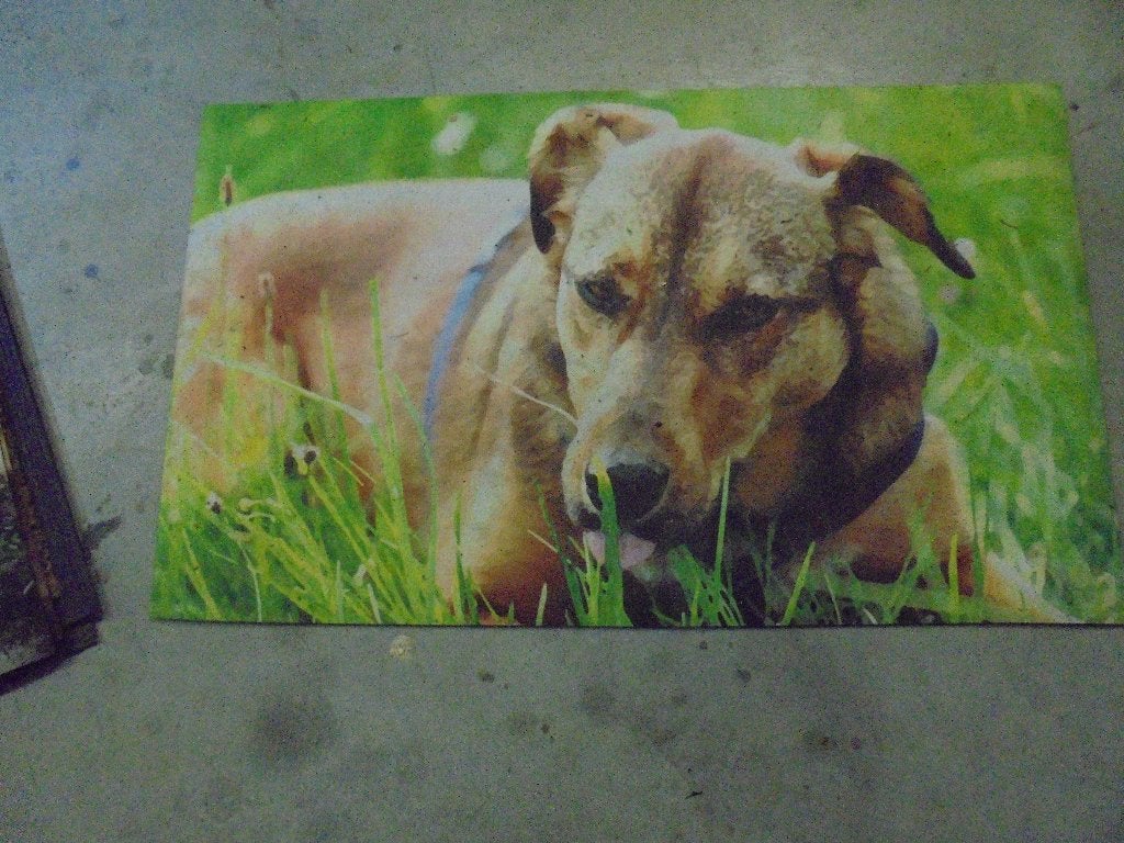 deurmatten, Tuin en Terras, Ophalen of Verzenden, Nieuw, Binnen, Droogloopmat