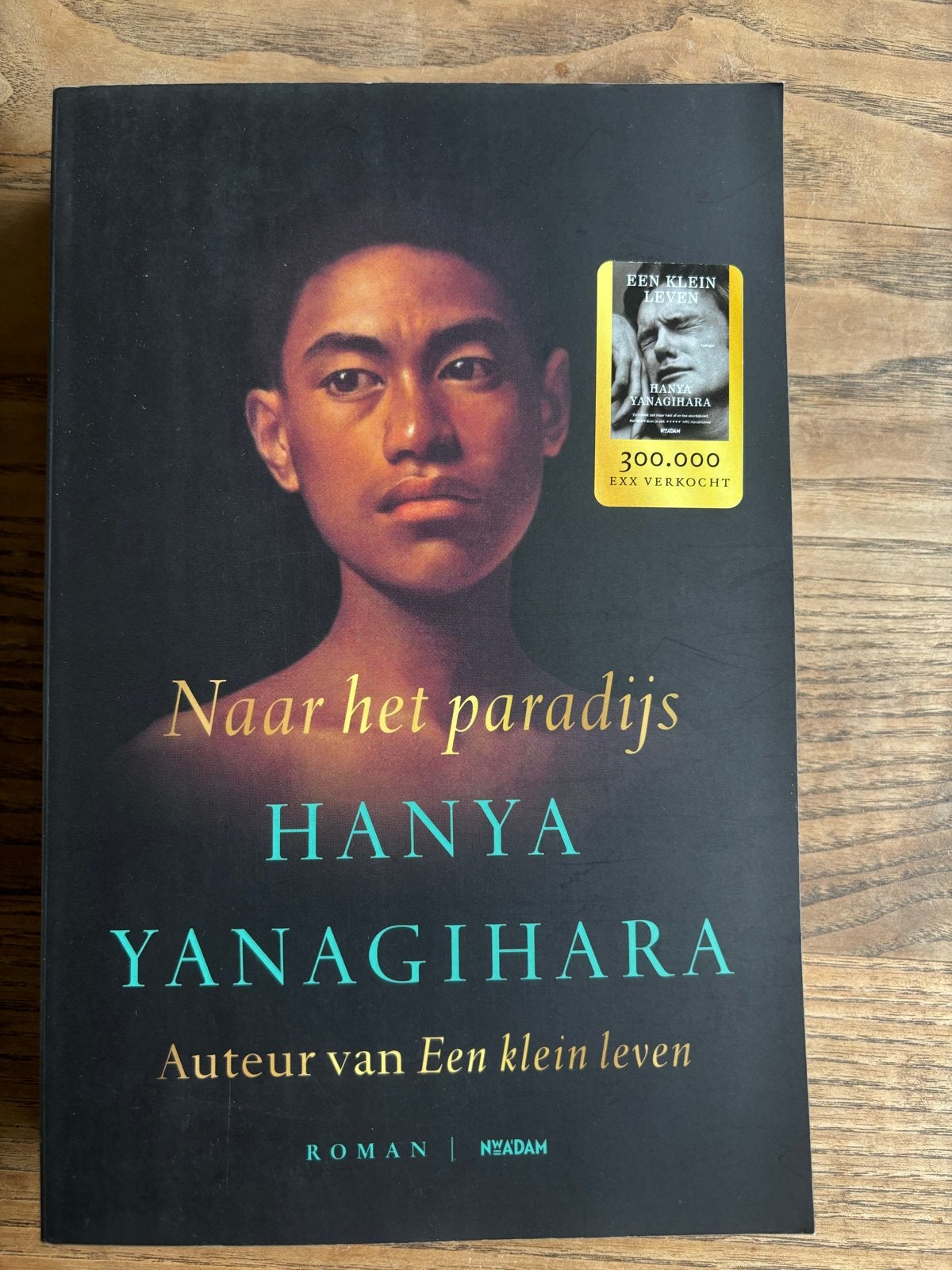 Naar het paradijs - Hanya Yanagihara (Roman), Boeken, Ophalen of Verzenden, Nieuw, Nederland