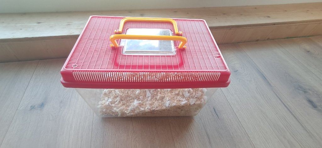 Hamster, Dieren en Toebehoren, Gebruikt, Reiskooi of Transportbox, Ophalen, Minder dan 60 cm