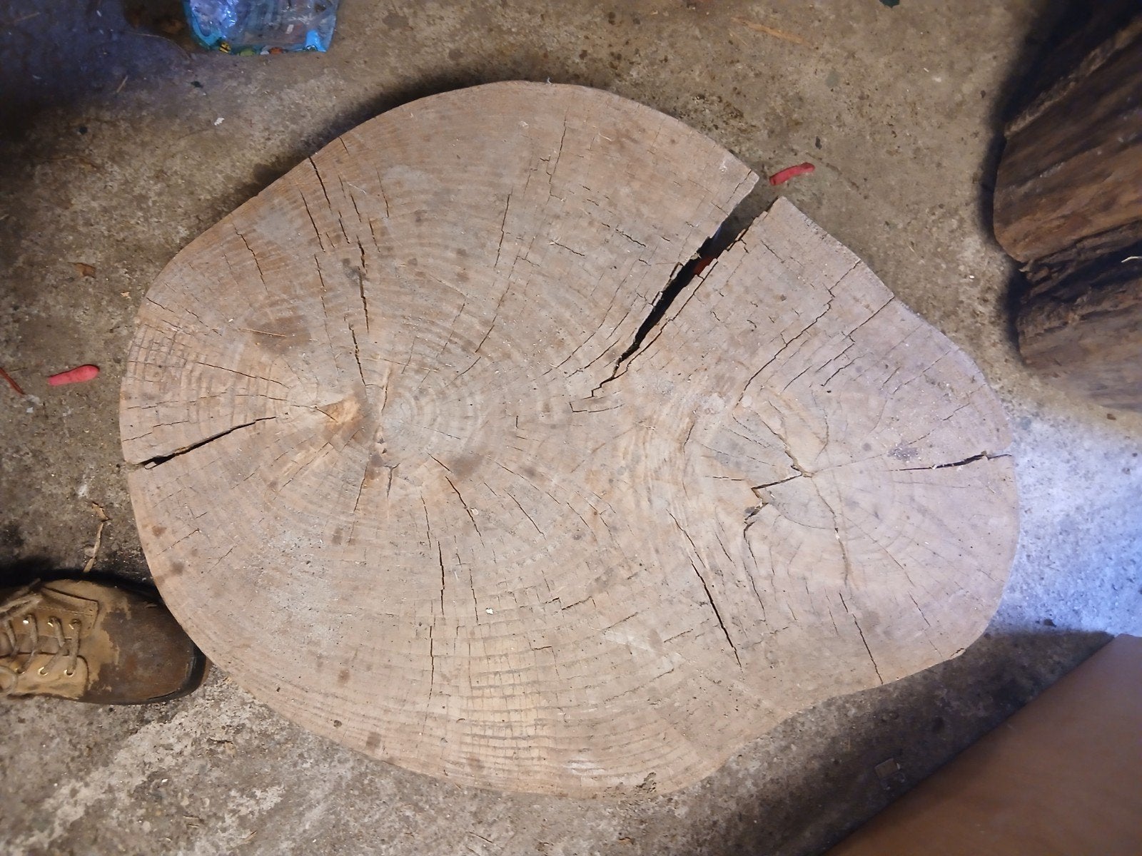 Grote houten boomstam schijf - decoratie/bijzettafel, Ophalen, Gebruikt, Overige typen, 50 mm of meer