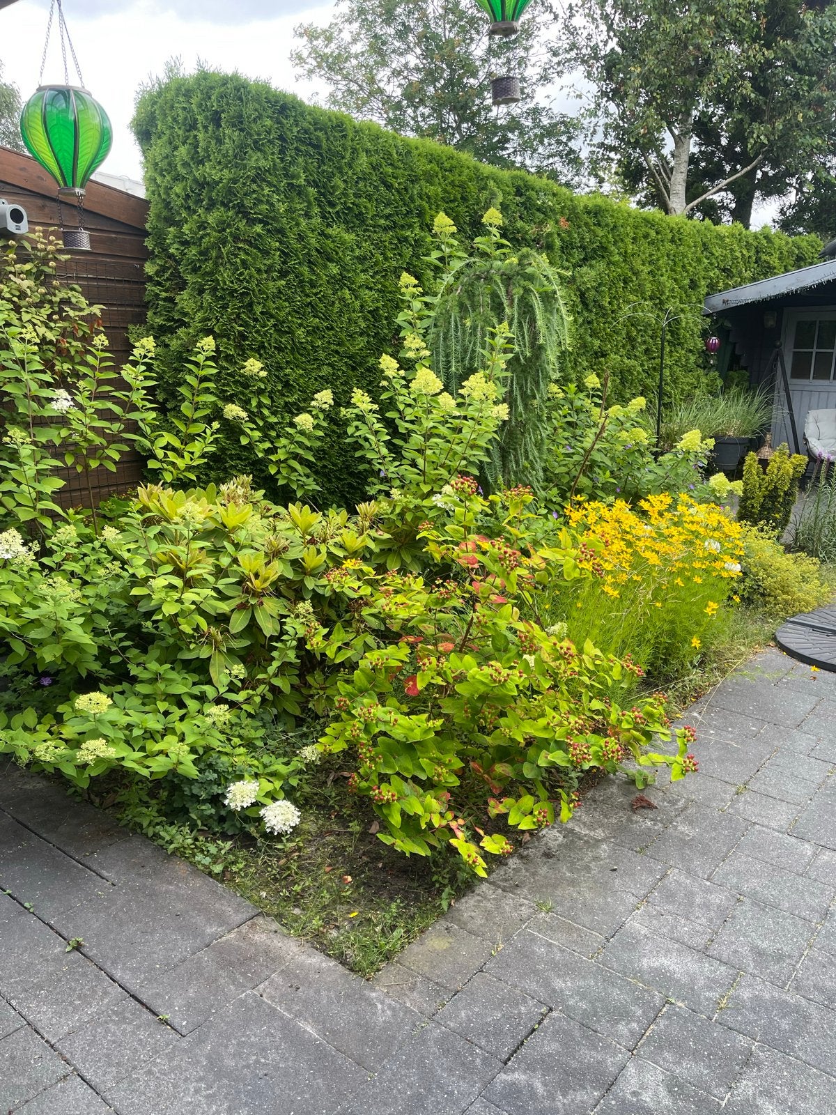 Gezocht tuinman. Prachtige tuin met klein voortuintje, Tuin en Terras, Ophalen, Vaste plant, Siergrassen, Halfschaduw