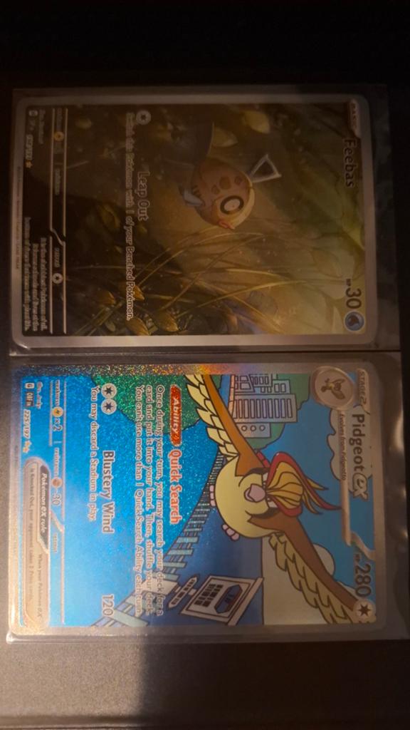 Pidgeot ex+feebas, Hobby en Vrije tijd, Verzamelkaartspellen | Pokémon, Ophalen of Verzenden, Nieuw, Meerdere kaarten, Foil