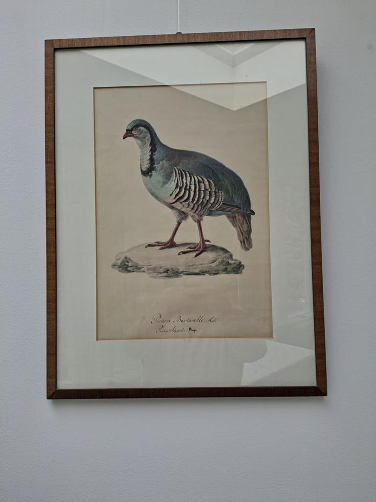 4 schilderijen van vogels, Ophalen