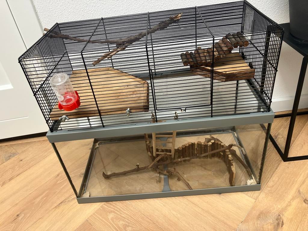 Hamsterhok 30x60 met glazen onderkant, Kooi, Gebruikt, Minder dan 75 cm, Hamster
