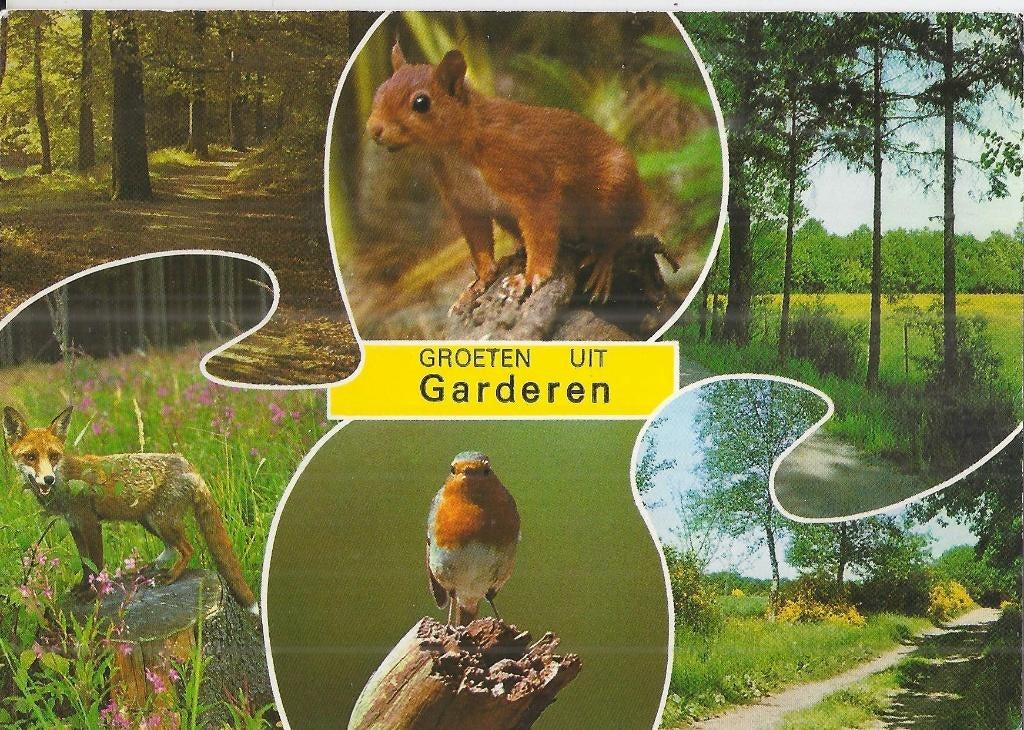V29 Ongelopen ansichtkaart groeten uit garderen, Ophalen of Verzenden, 1980 tot heden, Gelopen