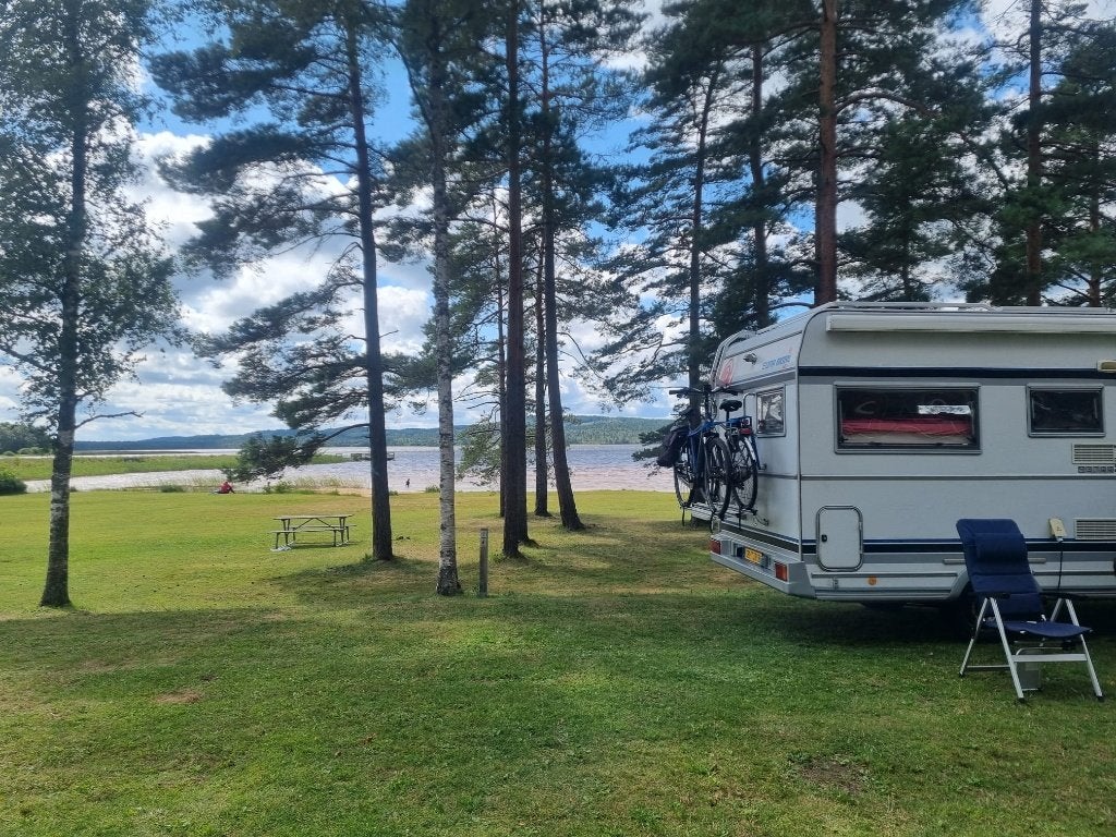 Camper, 6 pers, weinig kilometers, zeer netjes!, Caravans en Kamperen, Alkoof, Fiat, Treinzit, Particulier