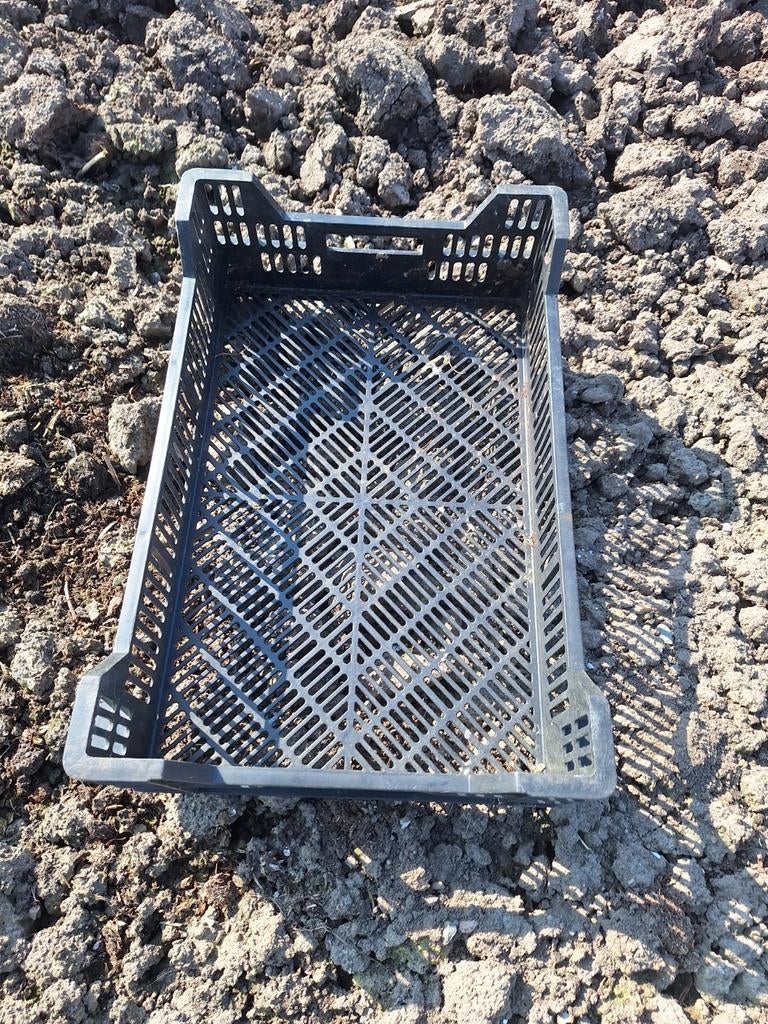 Plastic kratten., Tuin en Terras, Kweekspullen, Ophalen, Nieuw, Kweekbak