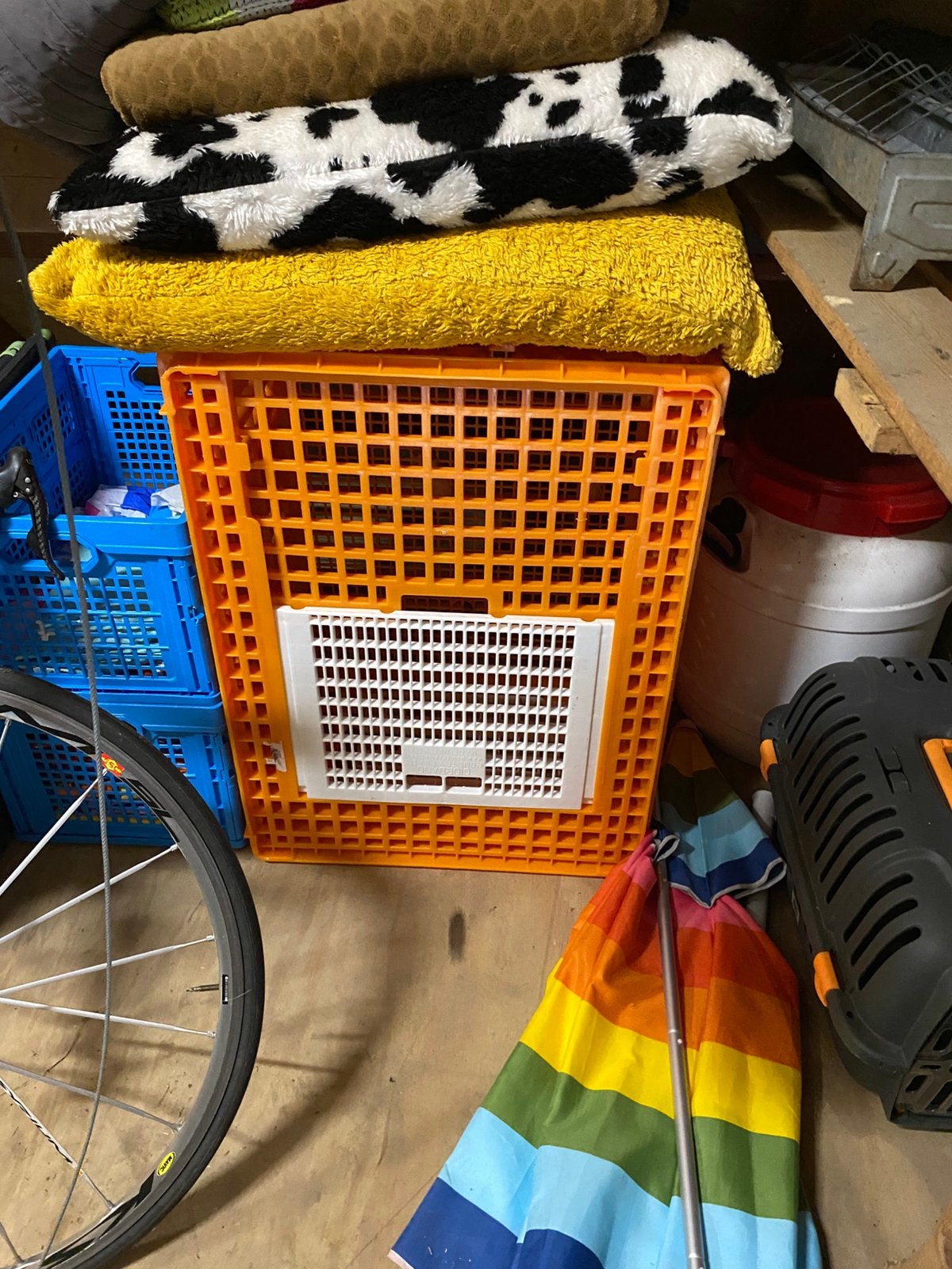 Pluimvee kist te koop, Dieren en Toebehoren, Ophalen, Nieuw