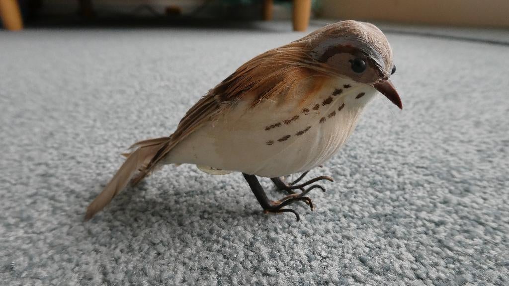 Vogel, waarschijnlijk echte veren, merk Sia, Verzenden, Zo goed als nieuw