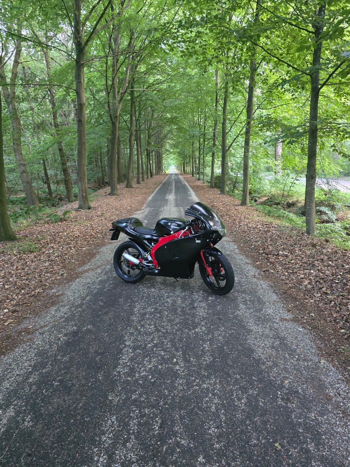 Aprilia rs 50, Overige typen, Zo goed als nieuw, 50 cc, Schijfrem