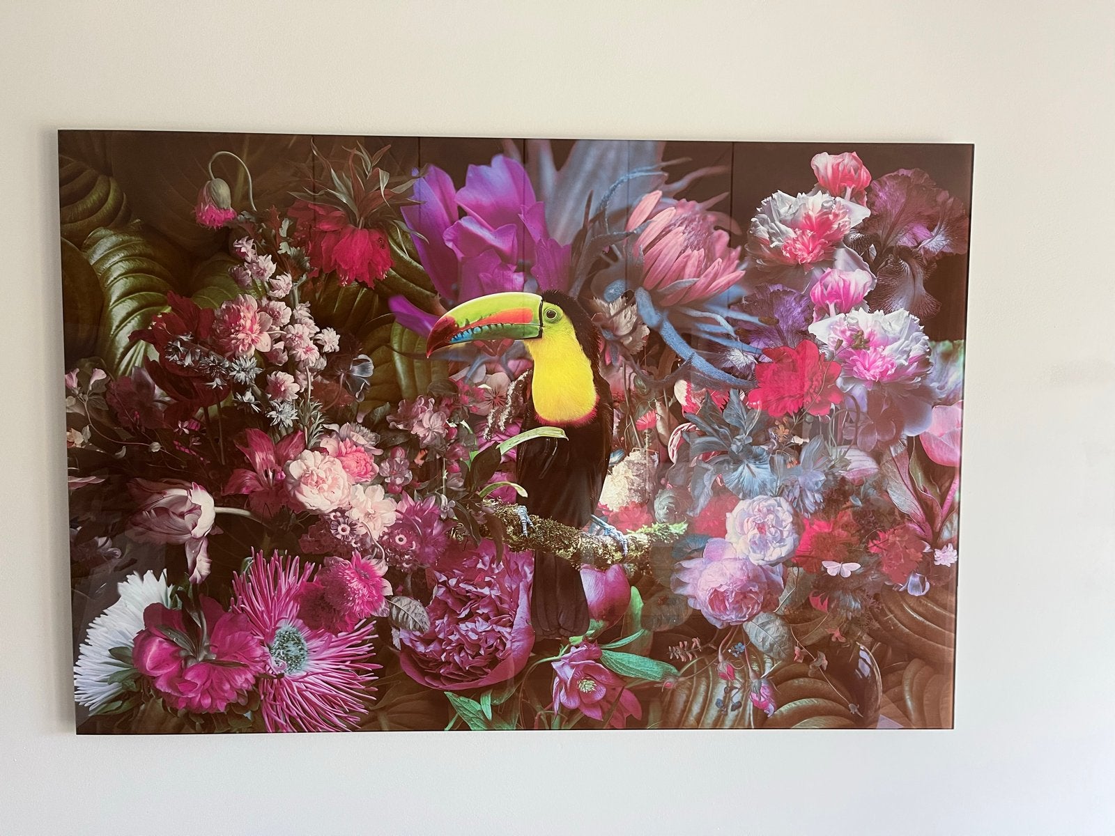 Glazen schilderij toekan en bloemen 120 x 80 cm, Antiek en Kunst, Ophalen, Composieten, Giclée, Bloemen