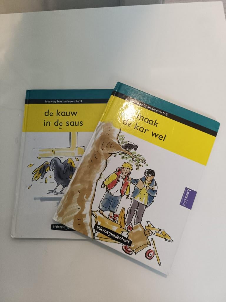 Leesweg basisniveau b-11 en b-2 - Thiememeulenhoff, Gelezen, Lucy Keijser, Ophalen of Verzenden, Nederlands