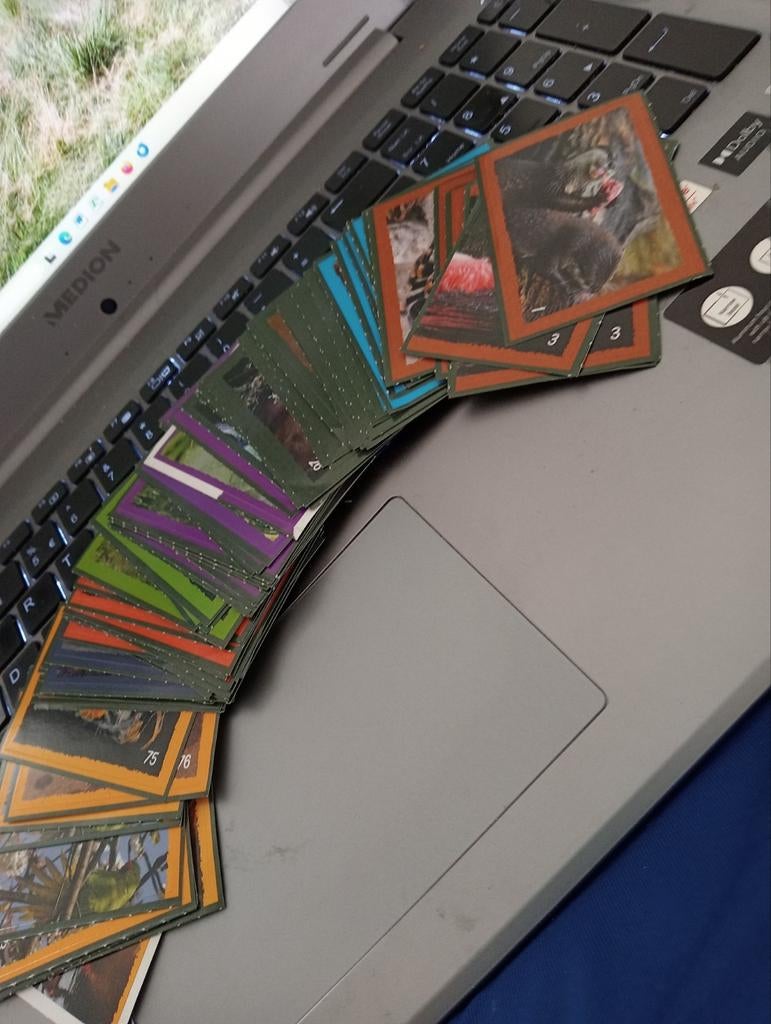 Deka dierensticker gratis, Dekamarkt, Ophalen
