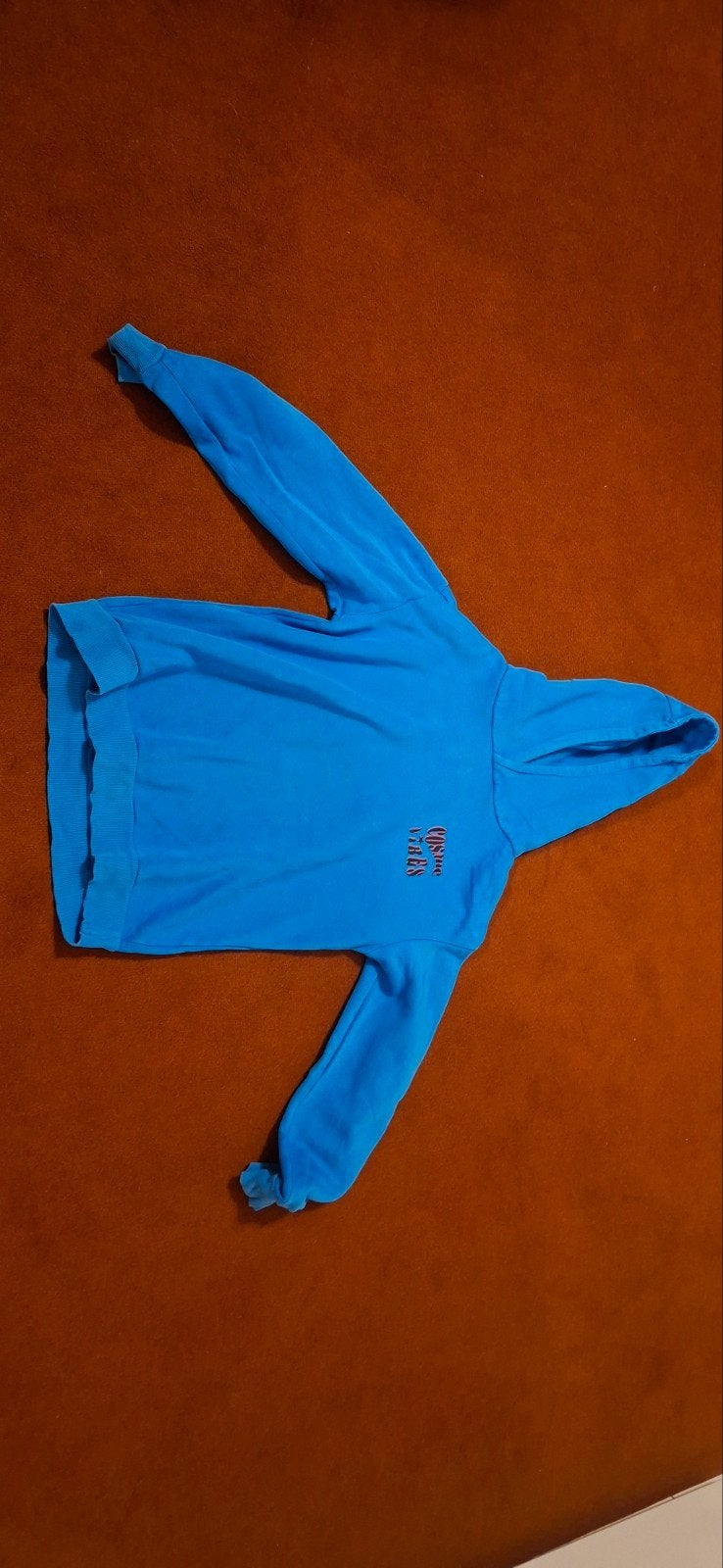 Blauwe hoodie maat 170/176, Ophalen, Gebruikt, Jongen of Meisje, Trui of Vest