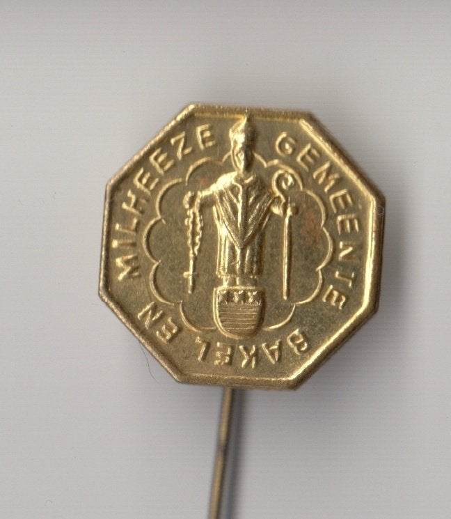 Gemeente Bakel en Milheeze speldje, Gebruikt, Niet vindbaar, Niet vindbaar, Speldje of Pin