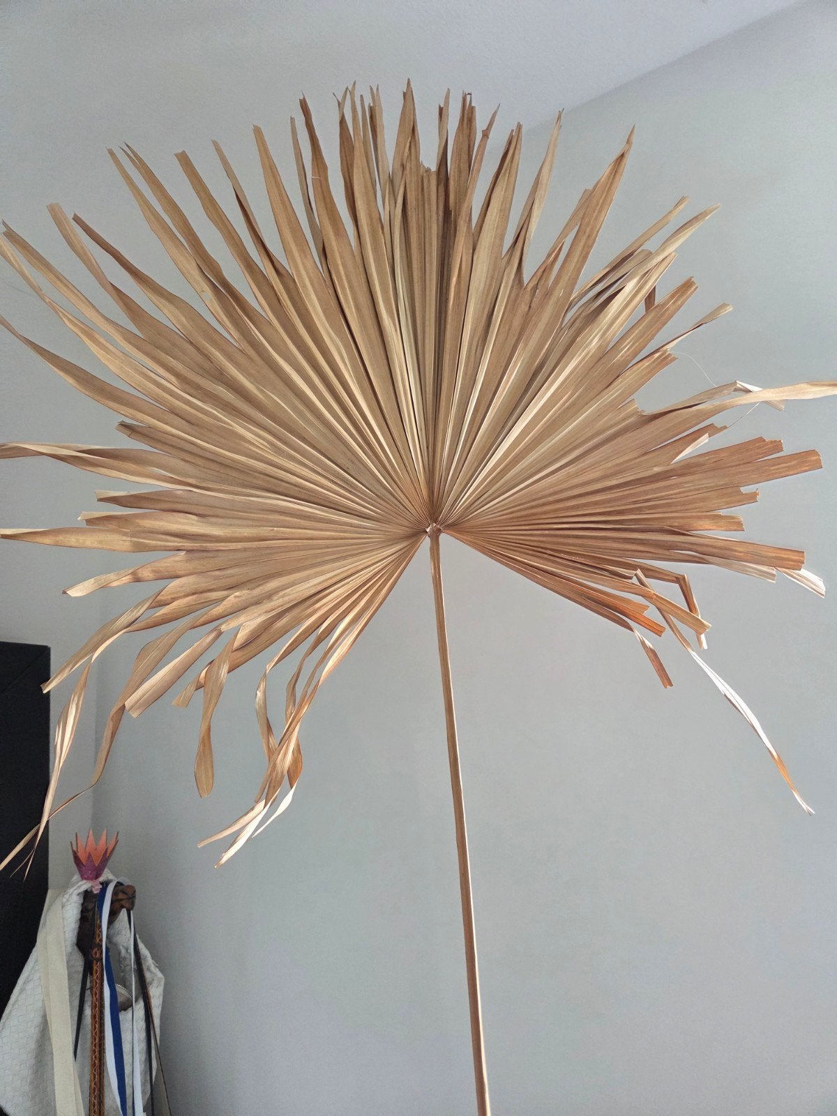 Gedroogde palmblad decoratie, Huis en Inrichting, Ophalen, Boho, Zo goed als nieuw, Natuurlijk materiaal