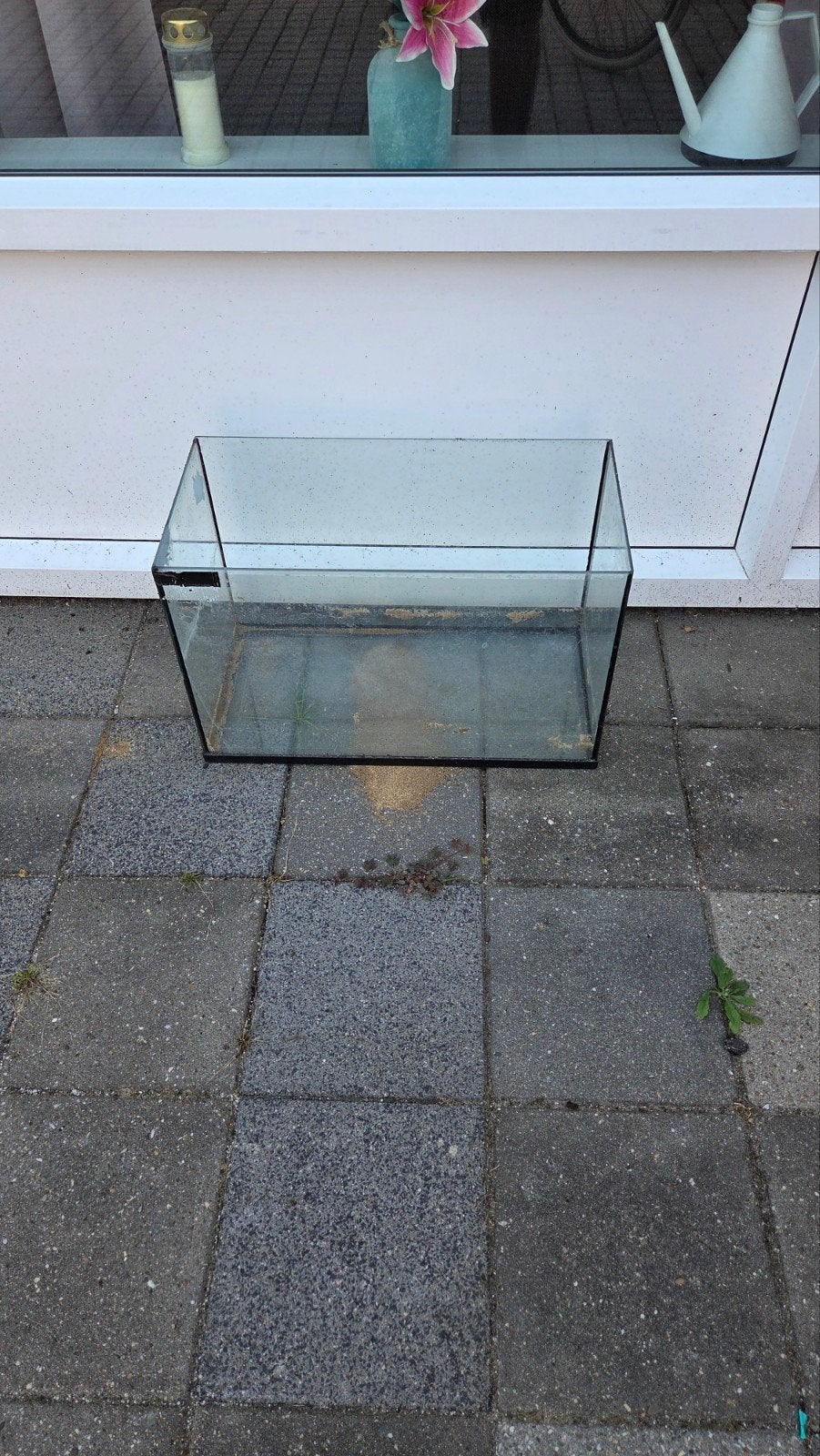 aquarium, Ophalen of Verzenden