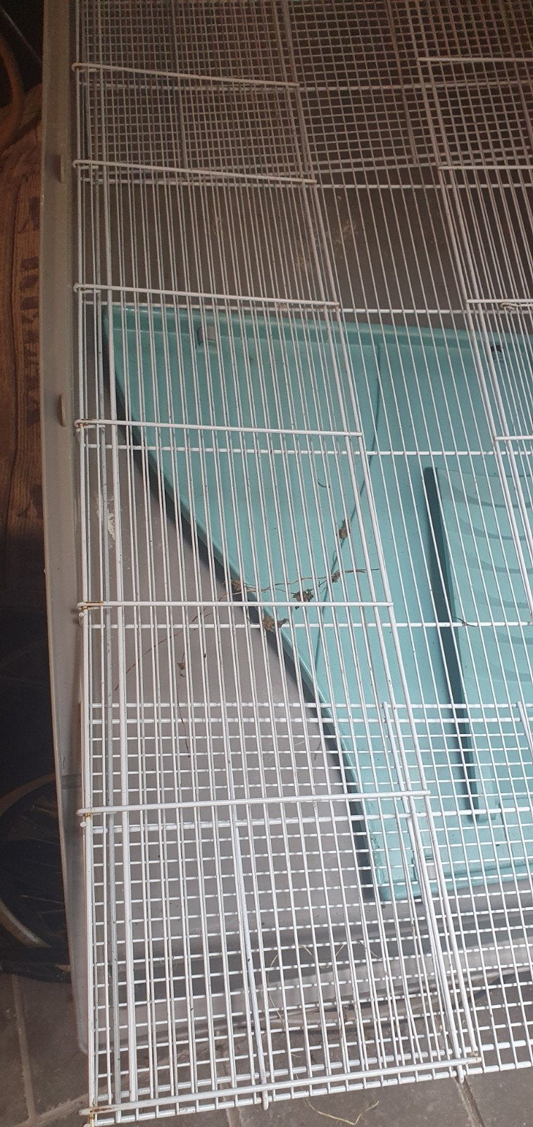 Groot cavia verblijf 10055cm, Ophalen of Verzenden, Metaal, Vogelkooi