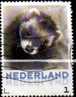 postzegels, Ophalen of Verzenden, Gestempeld