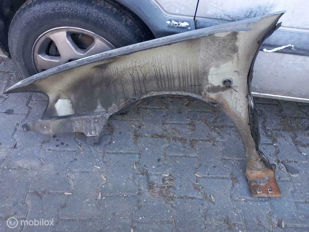 Spatscherm Seat Ibiza, Ophalen of Verzenden, Gebruikt