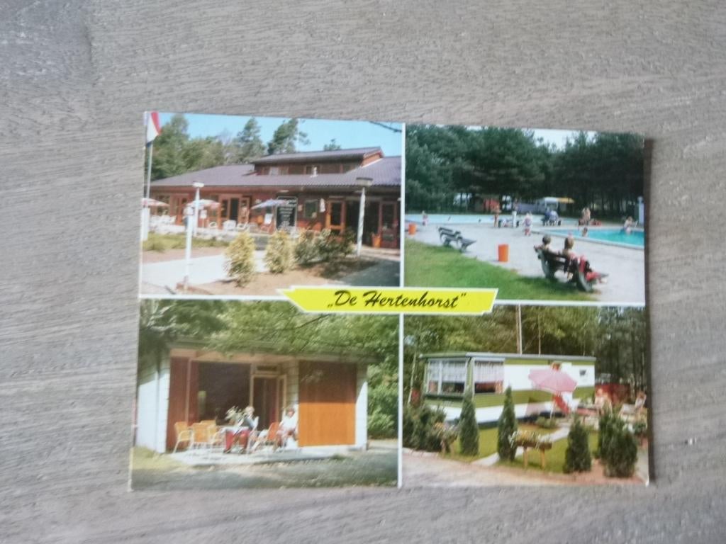 Beekbergen, de Hertenhorst zwembad/caravan 1981, Ophalen of Verzenden, 1980 tot heden, Gelopen, Gelderland