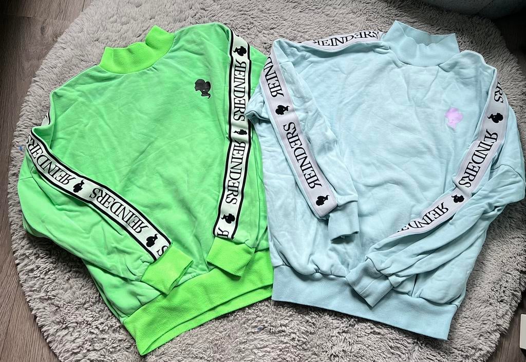 Reinders Truien, Kleding | Dames, Truien en Vesten, Ophalen of Verzenden, Zo goed als nieuw, Maat 42/44 (L), Overige kleuren