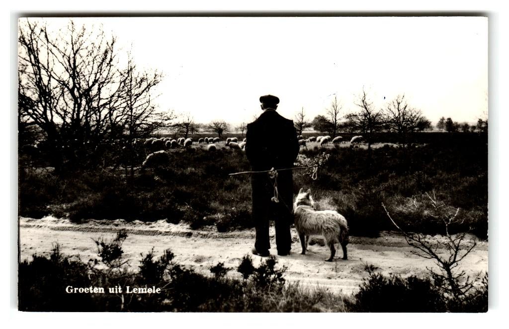 Lemele, Groeten uit Lemele, Ophalen of Verzenden, 1960 tot 1980, Gelopen, Overijssel