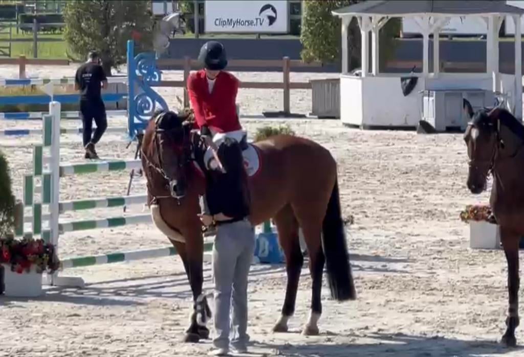 We hebben weer plek!! Ruiter / verzorger gezocht, Verzorging of Verzorgpony's