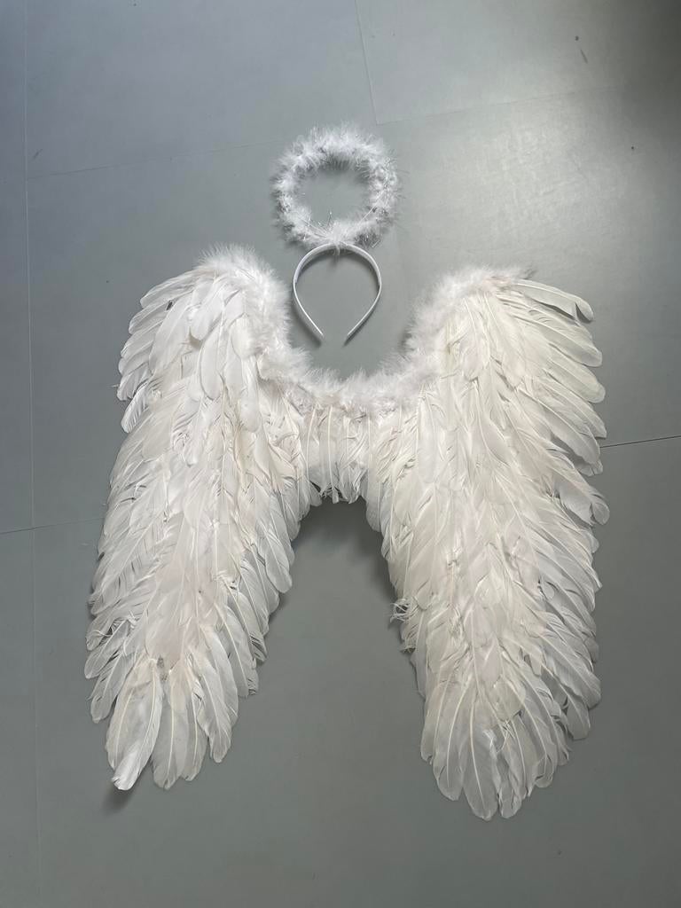 Carnaval: Witte vleugels met kroontje, Ophalen, Zo goed als nieuw, 158 t/m 164, Jongen of Meisje