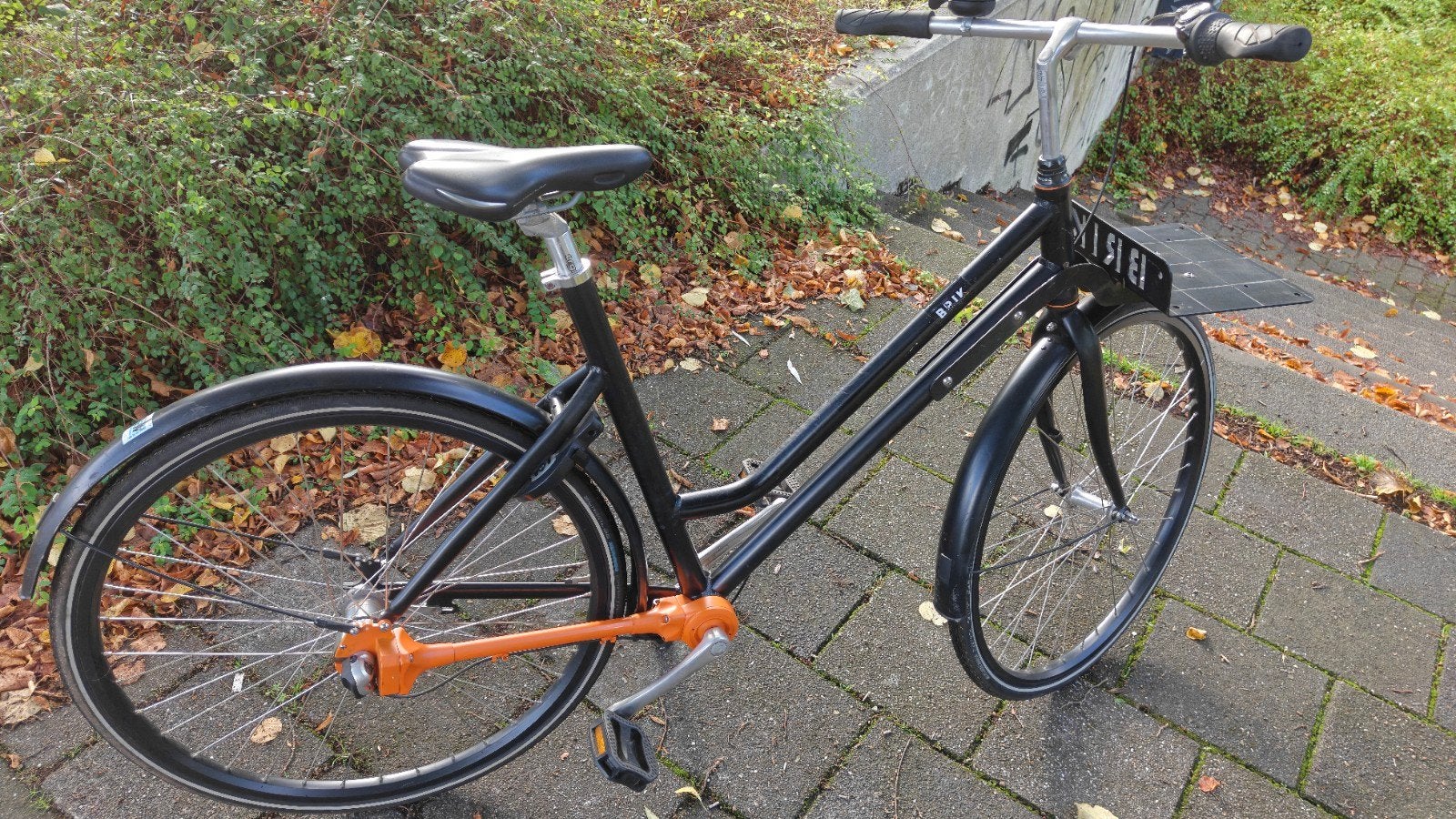 Brik Sec, Cardan aandrinving, Nexus 3 versnellingen en voord, Fietsen en Brommers, Versnellingen, Trommelrem, Ophalen, Overige merken
